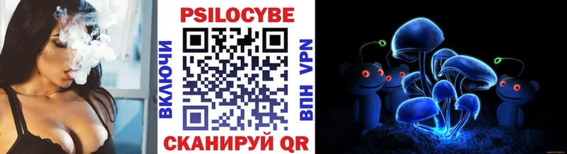 закладка  KRAKEN ТОР  Псилоцибиновые грибы Psilocybe  Саратов 